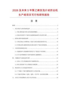 2026及未來5年聚乙烯發泡片材擠出機生產線項目可行性研究報告