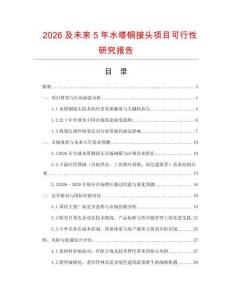 2026及未來5年水塔銅接頭項目可行性研究報告
