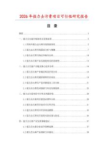 2026年強力去污膏項目可行性研究報告