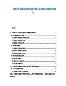 中國戶外極限運動防護裝備市場小眾化特征與營銷創新報告