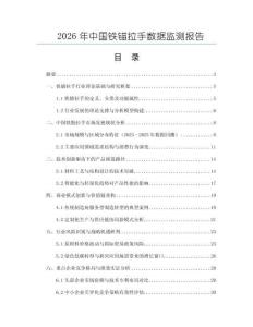 2026年中國鐵錨拉手數據監(jiān)測報告