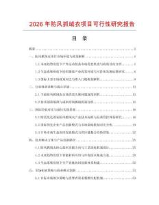 2026年防風抓絨衣項目可行性研究報告