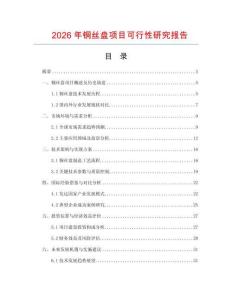 2026年銅絲盤(pán)項(xiàng)目可行性研究報(bào)告