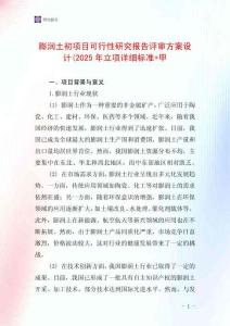 膨潤土初項目可行性研究報告評審方案設計(2025年立項詳細標準+甲