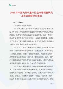 2025年中國(guó)天然氣重卡行業(yè)市場(chǎng)調(diào)查研究及投資策略研究報(bào)告