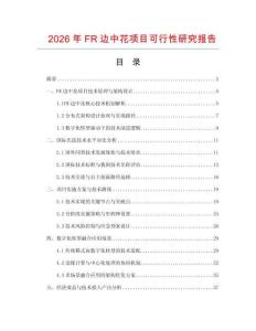 2026年FR邊中花項目可行性研究報告