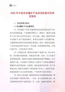 2025年中國非金屬礦產業投資前景評估研究報告