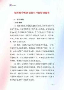 秸稈綜合利用項目可行性研究報告
