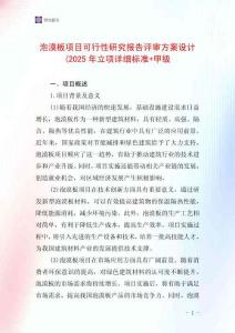 泡漠板項目可行性研究報告評審方案設計(2025年立項詳細標準+甲級
