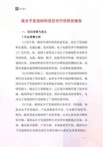 高分子發泡材料項目可行性研究報告