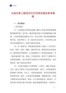 云南對苯二胺項目可行性研究報告參考模板
