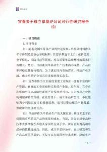 宜春關于成立單晶爐公司可行性研究報告(9)