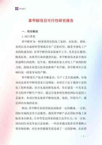 苯甲醇項目可行性研究報告