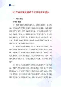 100萬噸高強度鋼項目可行性研究報告