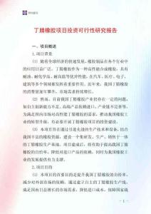 丁腈橡膠項目投資可行性研究報告