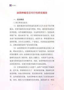 油茶種植項目可行性研究報告