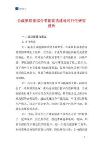 合成氨尿素綜合節能改造建設可行性研究報告