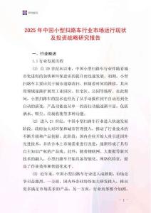 2025年中國小型掃路車行業(yè)市場運行現(xiàn)狀及投資戰(zhàn)略研究報告