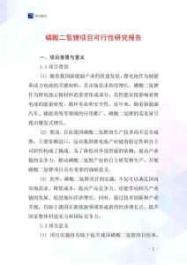 磷酸二氫鋰項(xiàng)目可行性研究報(bào)告