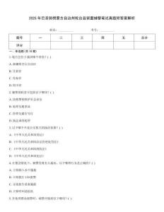 2025年巴音郭楞蒙古自治州輪臺縣留置輔警筆試真題附答案解析