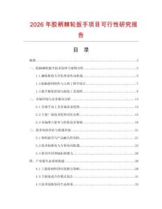 2026年膠柄棘輪扳手項目可行性研究報告