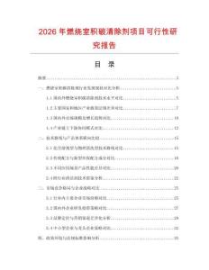 2026年燃燒室積碳清除劑項目可行性研究報告
