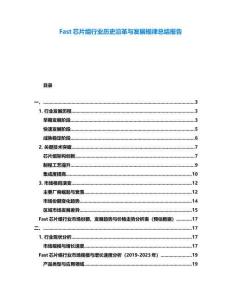 Fast芯片组行业历史沿革与发展规律总结报告