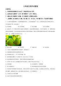 安徽滁州市瑯琊區2025-2026學年上學期期末七年級生物試卷(無答案)