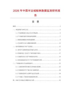 2026年中國半邊絨船襪數(shù)據(jù)監(jiān)測研究報告
