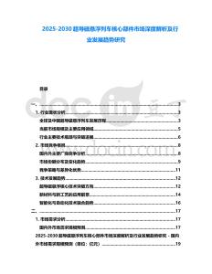 2025-2030超導(dǎo)磁懸浮列車核心部件市場深度解析及行業(yè)發(fā)展趨勢研究
