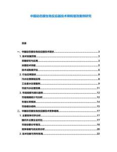 中國動態(tài)膜生物反應(yīng)器技術(shù)降耗增效案例研究