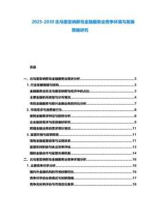 2025-2030北馬里亞納群島金融服務(wù)業(yè)競爭環(huán)境與發(fā)展策略研究