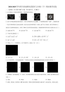 精品解析：四川省成都市武侯区2024-2025学年七年级下学期6月期末数学试题（原卷版）