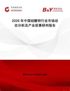 2026年中國硅酸鋅行業市場動態分析及產業前景研判報告