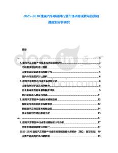 2025-2030捷克汽車零部件行業市場供需現狀與投資機遇規劃分析研究