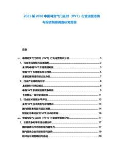 2025至2030中國可變氣門正時（VVT）行業運營態勢與投資前景調查研究報告