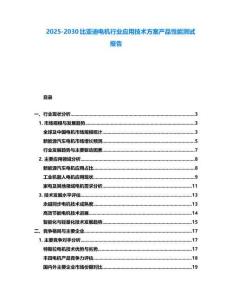 2025-2030比亞迪電機行業應用技術方案產品性能測試報告