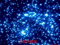 [初三政史地]感受大自然之美