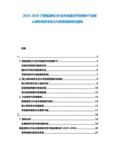 2025-2030了新能源電力行業市場逐步開放情形下及核心部件高資本定義與投資回報優化整體