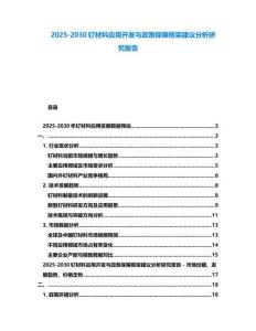 2025-2030釕材料應用開發與政策保障框架建議分析研究報告