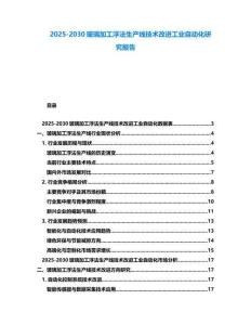 2025-2030玻璃加工浮法生產線技術改進工業自動化研究報告