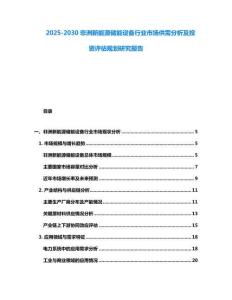 2025-2030非洲新能源儲能設備行業市場供需分析及投資評估規劃研究報告