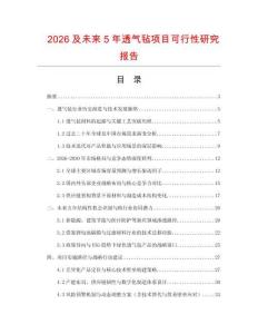 2026及未來5年透氣氈項目可行性研究報告