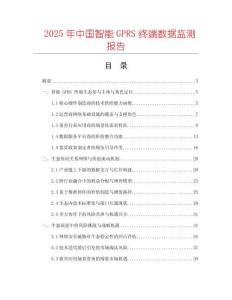 2025年中國智能GPRS終端數(shù)據(jù)監(jiān)測報告