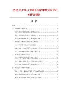 2026及未來5年錐孔同步帶輪項目可行性研究報告
