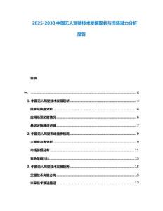 2025-2030中国无人驾驶技术发展现状与市场潜力分析报告