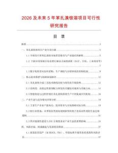 2026及未來5年苯扎溴銨溶項目可行性研究報告