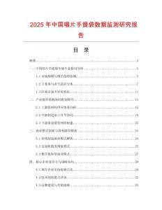 2025年中国唱片手提袋数据监测研究报告