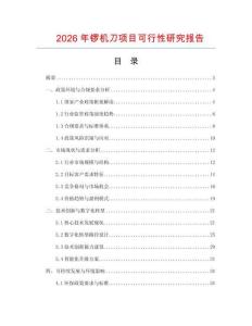 2026年鑼機刀項目可行性研究報告
