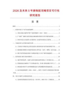2026及未來(lái)5年麻制拔河繩項(xiàng)目可行性研究報(bào)告
